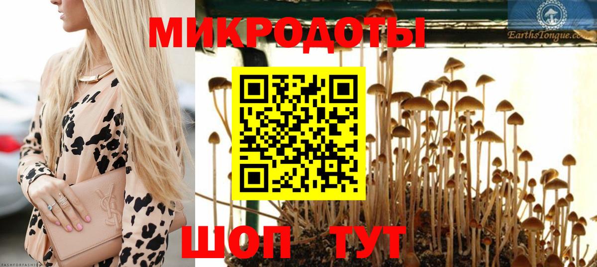 Ртищево  Галлюциногенные грибы мухоморы  Галлюциногенные грибы Psilocybine cubensis  Вход с VPN 